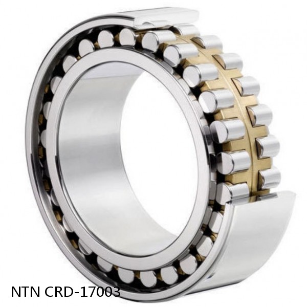 CRD-17003 NTN Cylindrical Roller Bearing