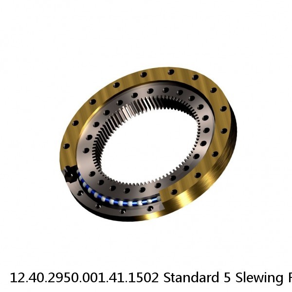 12.40.2950.001.41.1502 Standard 5 Slewing Ring Bearings