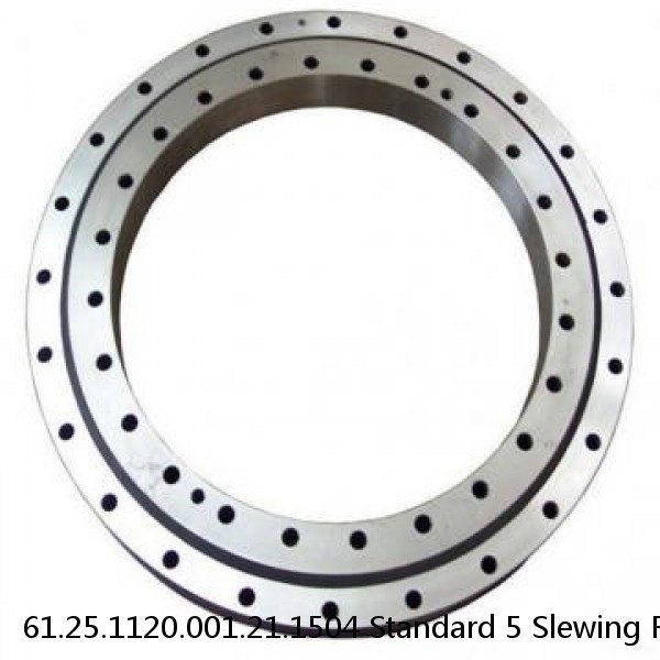 61.25.1120.001.21.1504 Standard 5 Slewing Ring Bearings