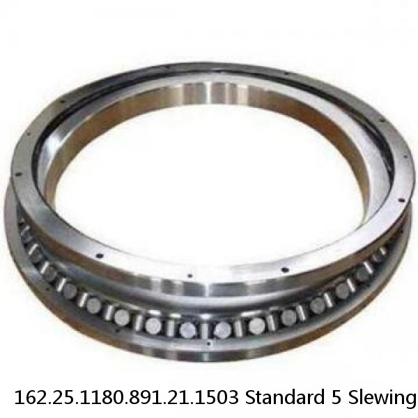 162.25.1180.891.21.1503 Standard 5 Slewing Ring Bearings