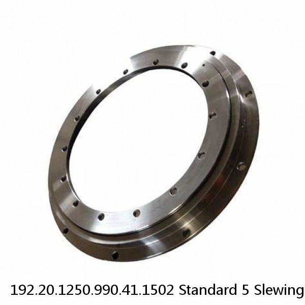 192.20.1250.990.41.1502 Standard 5 Slewing Ring Bearings