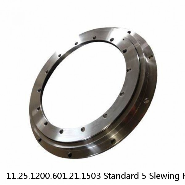 11.25.1200.601.21.1503 Standard 5 Slewing Ring Bearings