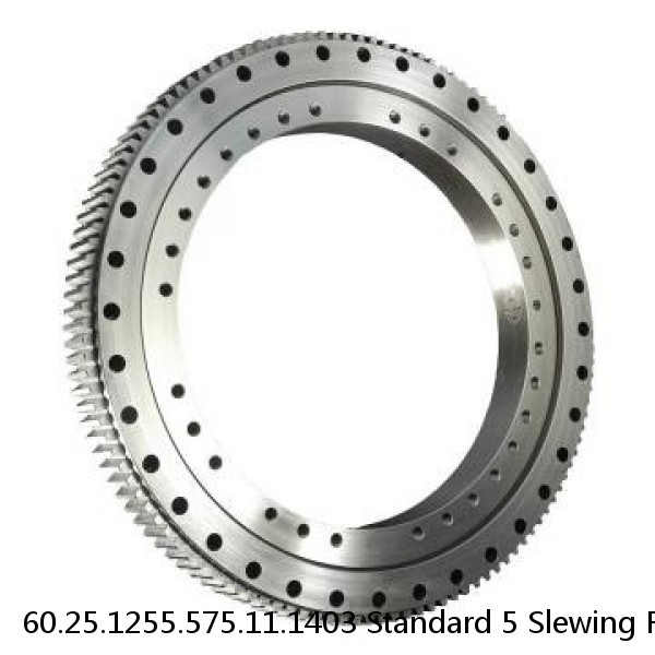 60.25.1255.575.11.1403 Standard 5 Slewing Ring Bearings