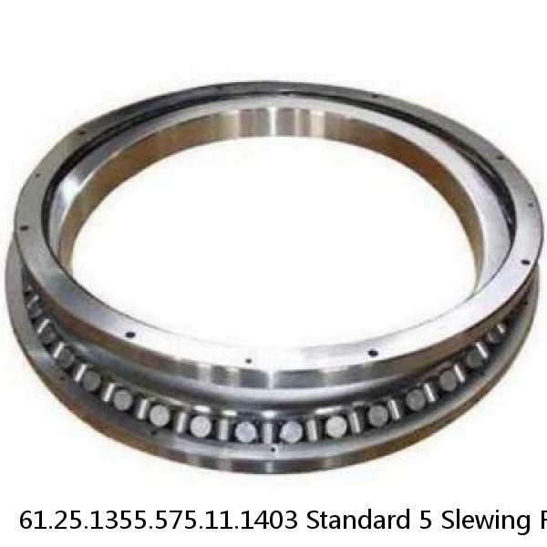 61.25.1355.575.11.1403 Standard 5 Slewing Ring Bearings