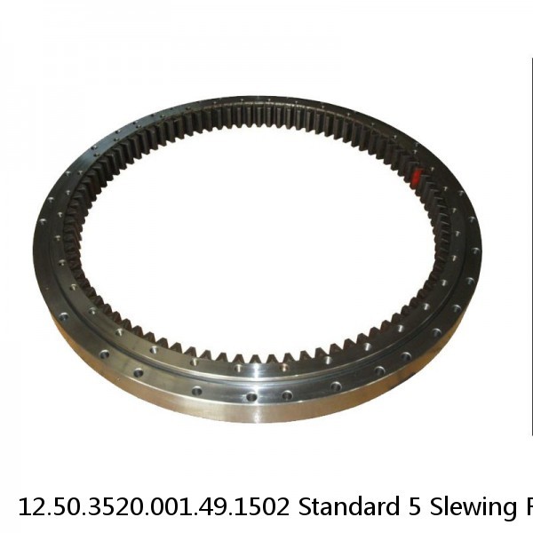 12.50.3520.001.49.1502 Standard 5 Slewing Ring Bearings