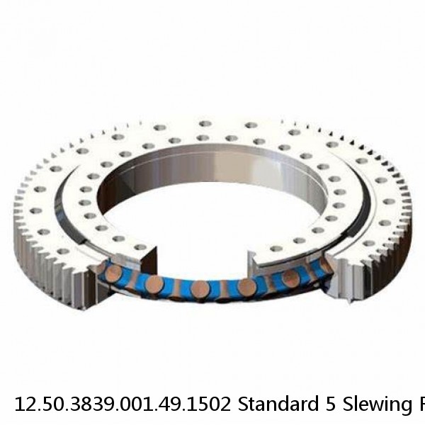 12.50.3839.001.49.1502 Standard 5 Slewing Ring Bearings