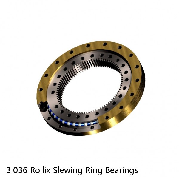 3 036 Rollix Slewing Ring Bearings