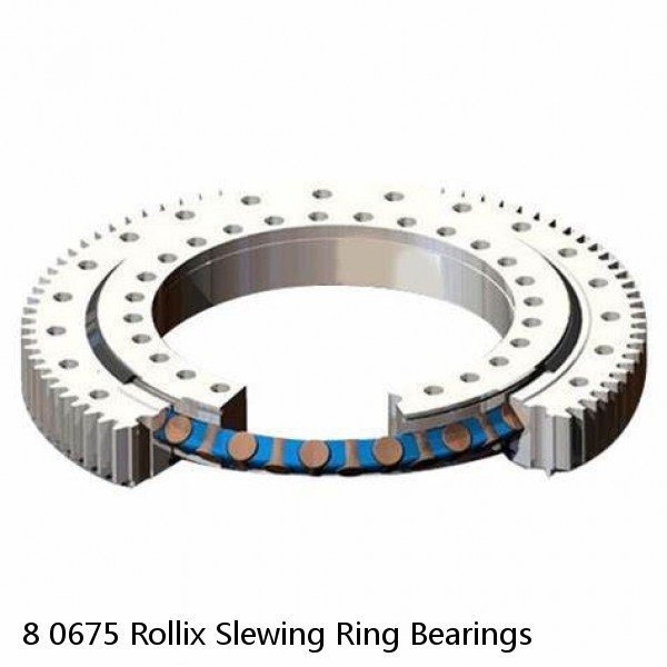 8 0675 Rollix Slewing Ring Bearings