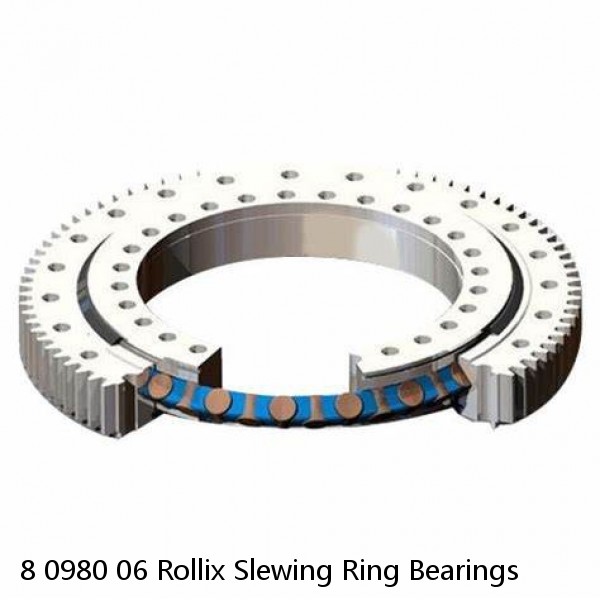 8 0980 06 Rollix Slewing Ring Bearings