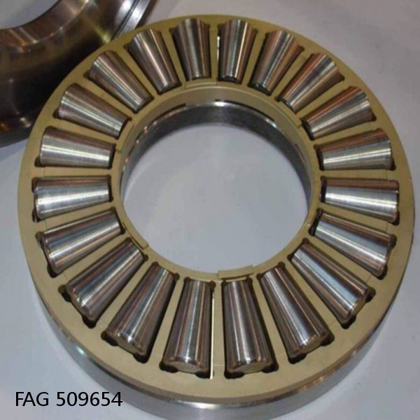 FAG 509654 DOUBLE ROW TAPERED THRUST ROLLER BEARINGS