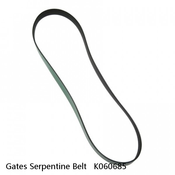 Gates Serpentine Belt   K060685