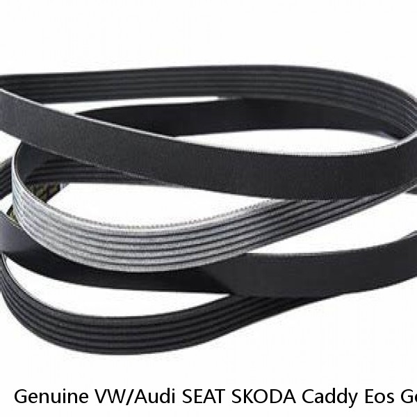 Genuine VW/Audi SEAT SKODA Caddy Eos Golf R32 Poly-V-Belt 06F903137E