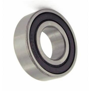 NACHI, Timken, NSK, NTN, Koyo, IKO, Auto Deep Groove Ball Bearing SKF (6204 6205 6206 6207 6209 Z Zz RS 2RS Bearing