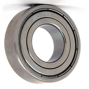 one way bearing 6202Z Chrome steel Washing Machine Drum Bearings