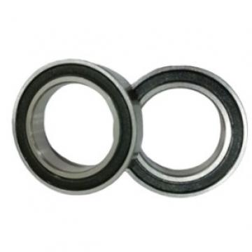 IKO Brand Linear Bushing Ball Bearing for SMT Machine and CNC Printer Lm6uu Lm8uu Lm10uu Lm12uu Bearing