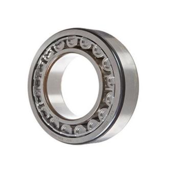 High Quality Cylindrical Roller Bearing SKF Nu310 Nu310e Bearing