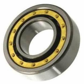 Auto Bearing Cylindrical Roller Bearingnu/Nj/N/Nup/207 Chrome Steel