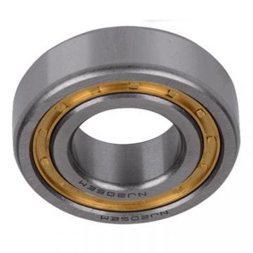 NACHI Nn3005kc1nap4, NTN Nn3005kc1nap4, NSK Precision CNC Spindle Bearings Nn3005mbkrcc0p5, Nn3005kc1nap4 Japan Brand