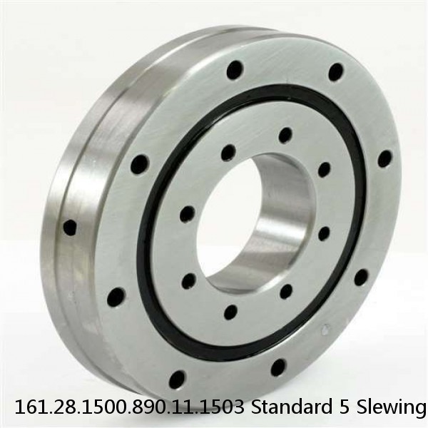 161.28.1500.890.11.1503 Standard 5 Slewing Ring Bearings