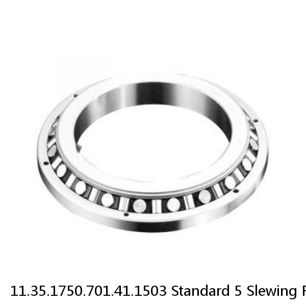 11.35.1750.701.41.1503 Standard 5 Slewing Ring Bearings