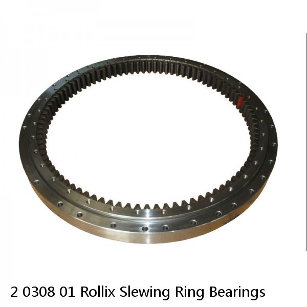 2 0308 01 Rollix Slewing Ring Bearings