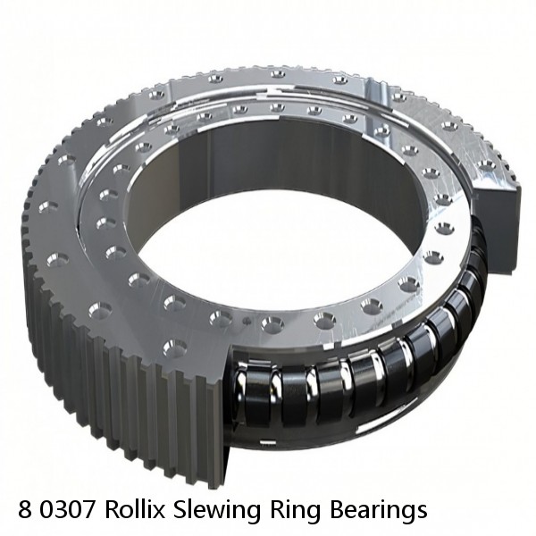 8 0307 Rollix Slewing Ring Bearings