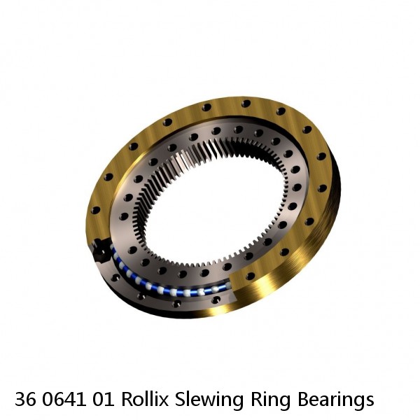 36 0641 01 Rollix Slewing Ring Bearings