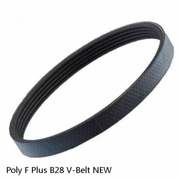 Poly F Plus B28 V-Belt NEW