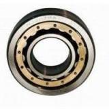 Double Row Cylindrical Roller Machine Tool Bearings Nn3017K Nn3018K Nn3019K Nn3020K Nn3021K Nn3022K Nn3024K Nn3026K Nn3028K